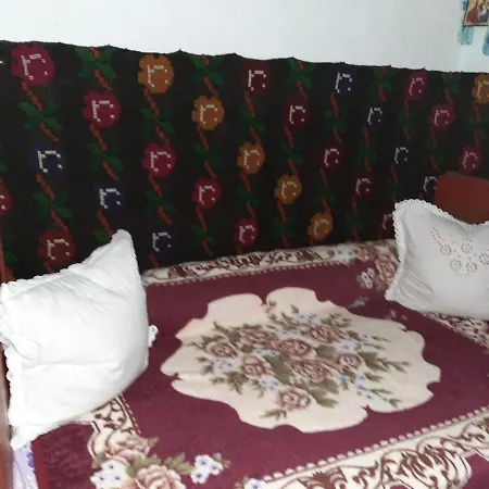 Дом отдыха Casa De Vacanta Alexe