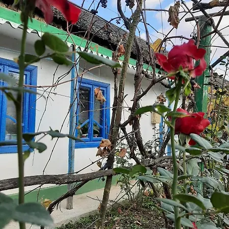 Дом отдыха Casa De Vacanta Alexe